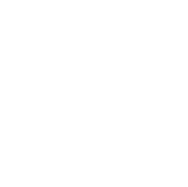 Icon of Network